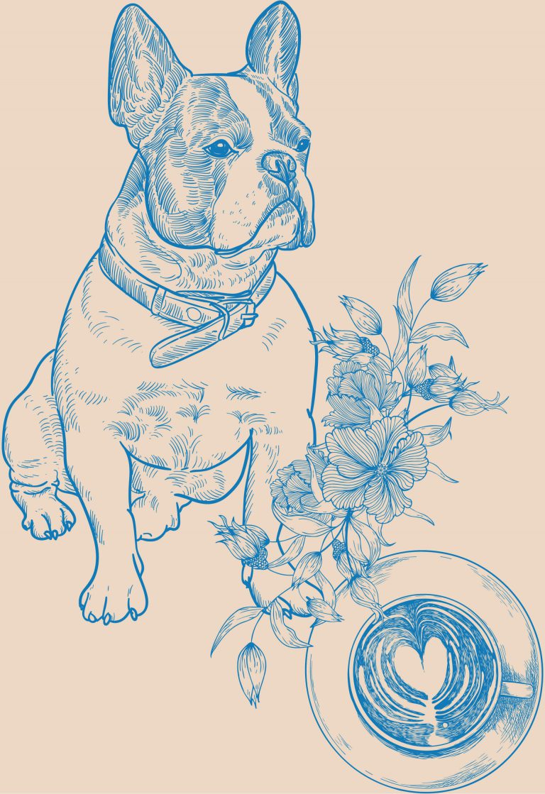 French Bulldog